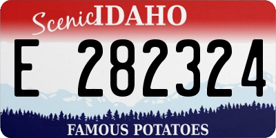 ID license plate E282324