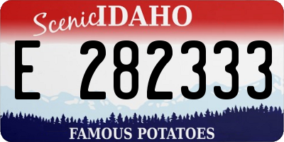 ID license plate E282333