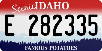 ID license plate E282335