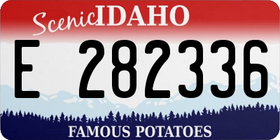 ID license plate E282336