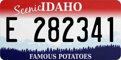 ID license plate E282341