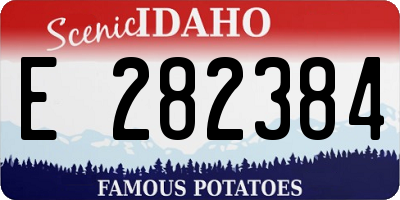 ID license plate E282384