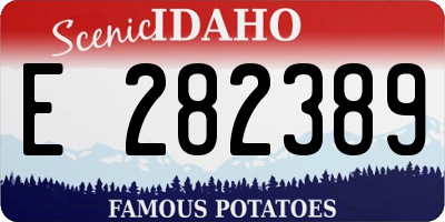 ID license plate E282389