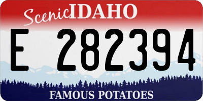 ID license plate E282394