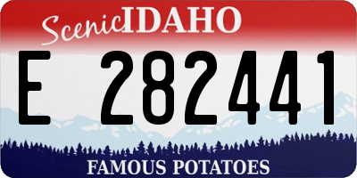 ID license plate E282441