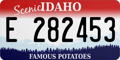 ID license plate E282453