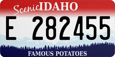 ID license plate E282455