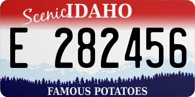 ID license plate E282456