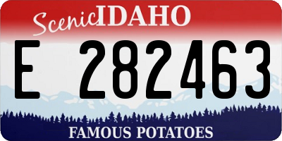 ID license plate E282463