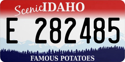 ID license plate E282485