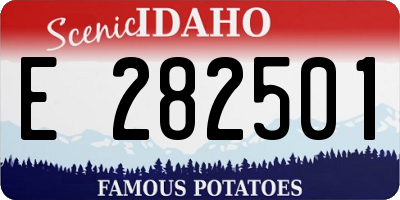 ID license plate E282501
