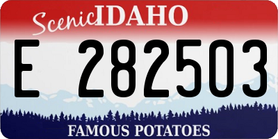 ID license plate E282503
