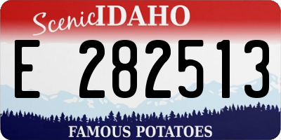 ID license plate E282513