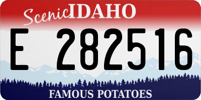 ID license plate E282516