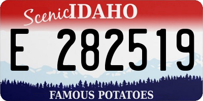 ID license plate E282519