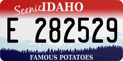 ID license plate E282529