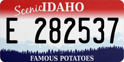 ID license plate E282537
