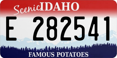 ID license plate E282541