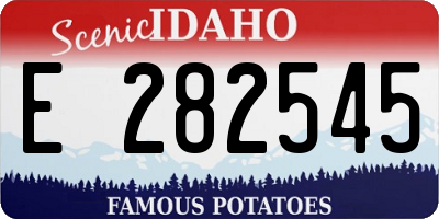 ID license plate E282545