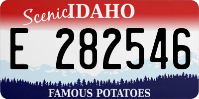 ID license plate E282546