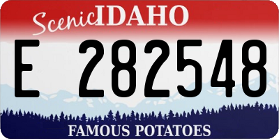 ID license plate E282548