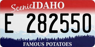 ID license plate E282550