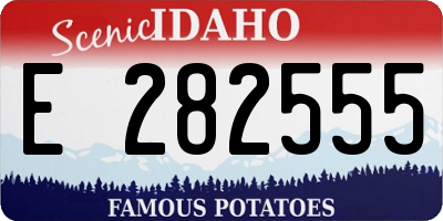 ID license plate E282555