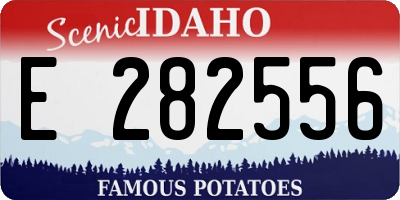 ID license plate E282556