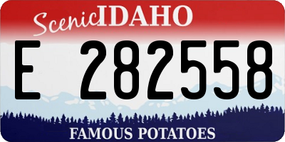 ID license plate E282558