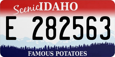 ID license plate E282563