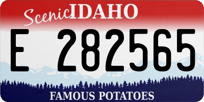 ID license plate E282565