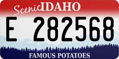 ID license plate E282568