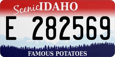 ID license plate E282569