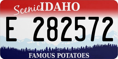 ID license plate E282572