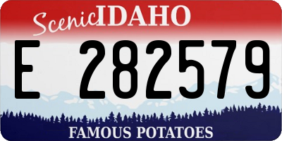 ID license plate E282579