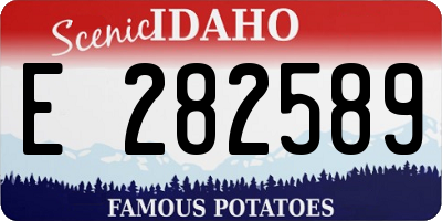 ID license plate E282589