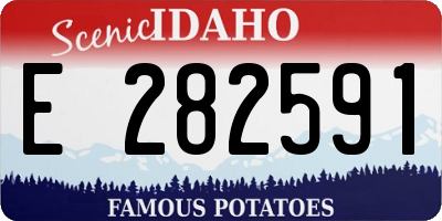 ID license plate E282591