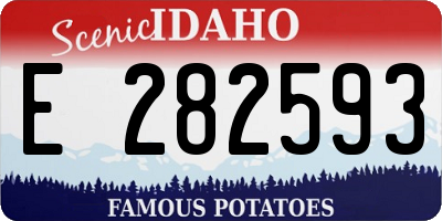 ID license plate E282593