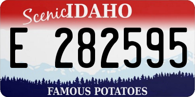 ID license plate E282595