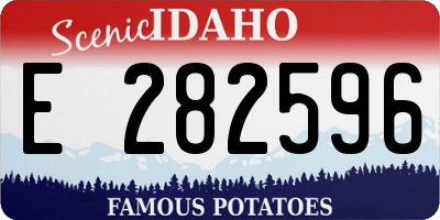 ID license plate E282596