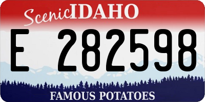 ID license plate E282598