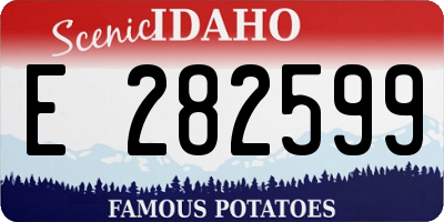 ID license plate E282599
