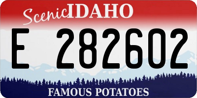 ID license plate E282602