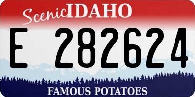 ID license plate E282624