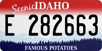 ID license plate E282663