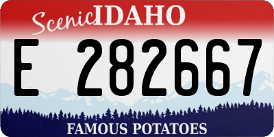 ID license plate E282667