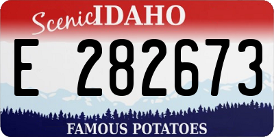 ID license plate E282673