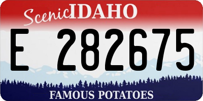 ID license plate E282675