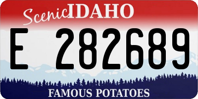 ID license plate E282689