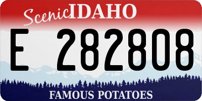 ID license plate E282808